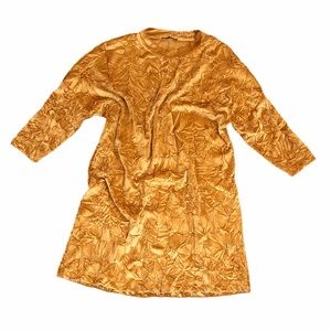 Zara Collection Velvet Crinkle Dress